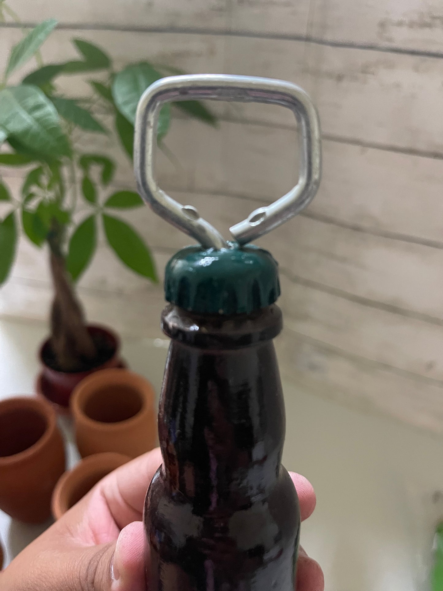 6” Wood bottle opener shaped assorted designs/destapador de madera