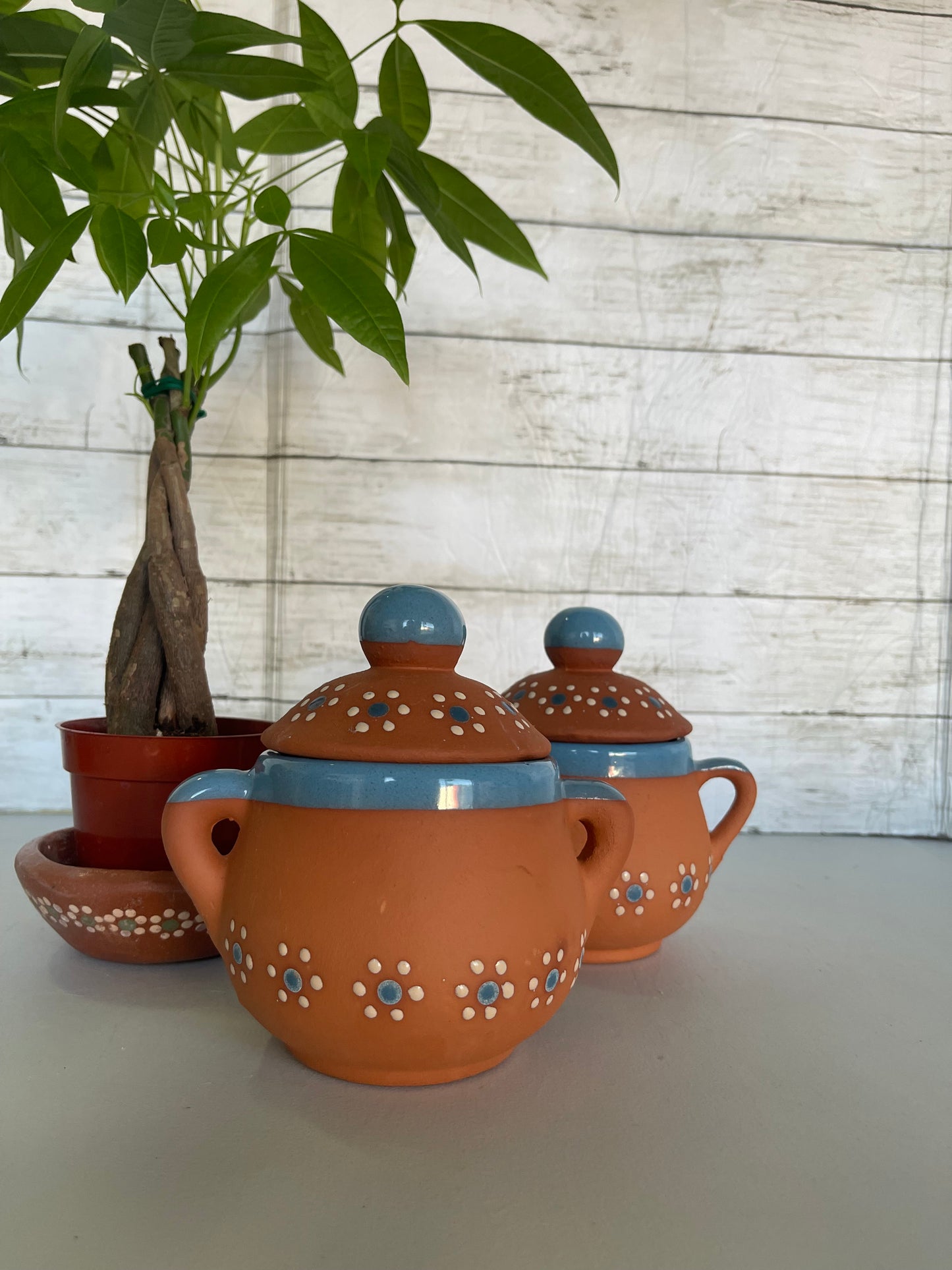 Azucarera de barro/terracotta canister/terracotta condiment storage saver/clay canister